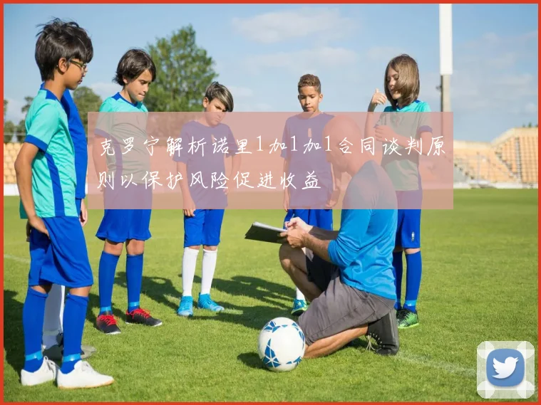 克罗宁解析诺里1加1加1合同谈判原则以保护风险促进收益